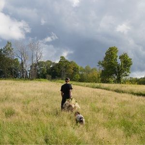 Meet your Posher, Lettie